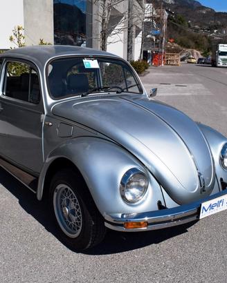 Volkswagen Maggiolino Winterbug ASI