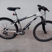 bicicletta mtb ragazzo/a