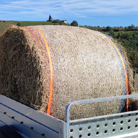 Rotoballa di paglia e rotoballa di erba medica