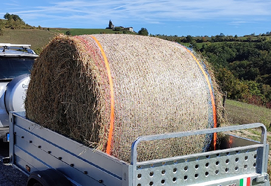 Rotoballa di paglia e rotoballa di erba medica