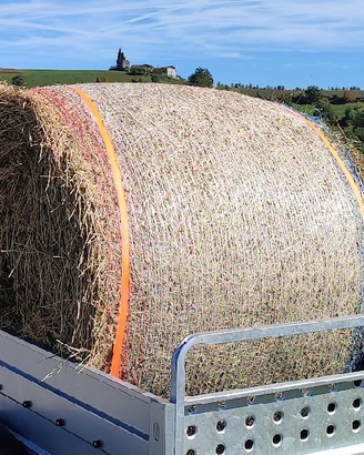 Rotoballa di paglia e rotoballa di erba medica