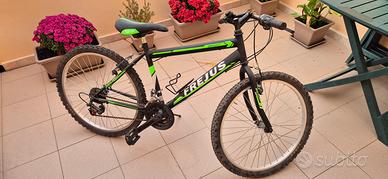 Bicicletta mtb 24