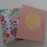 coppia raccoglitori ad anelli nuovi