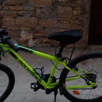 Bici grandezza 24