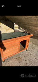 Cuccia per cane