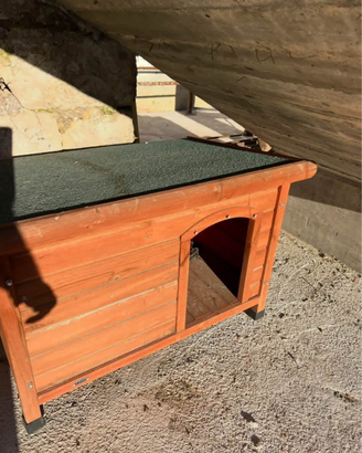 Cuccia per cane