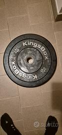Dischi bumper Kingbox 20kg