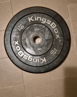 Dischi bumper Kingbox 20kg