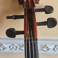 Violino Artigianale Nuovo epoca del 900 eccellenti