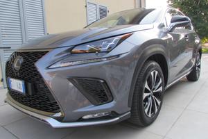 Lexus NX 300h F-Sport Gangio Traino