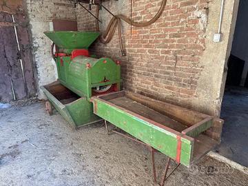 Pigia Diraspatrice per uva