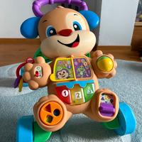 Cagnolino primi passi