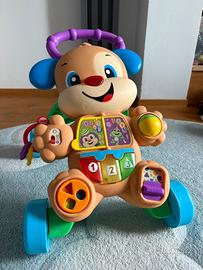 Cagnolino primi passi