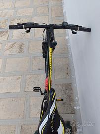 bicicletta Torpado 