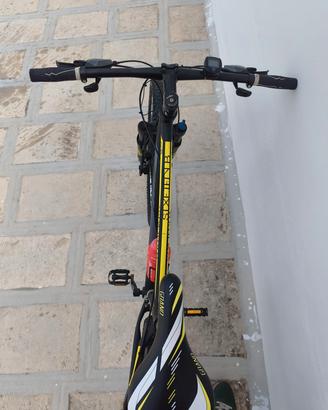 bicicletta Torpado 