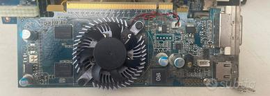 Scheda Video Entry-Level GeForce G100 512MB DDR2 -