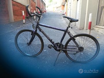 Mountain Bike marca Girardengo da adulto