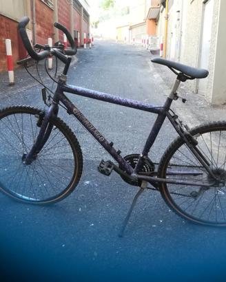 Mountain Bike marca Girardengo da adulto