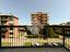 Immagine 7