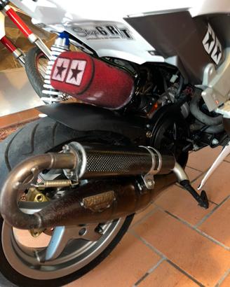marmitta piaggio yasuni c16