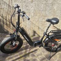 e-bike fat