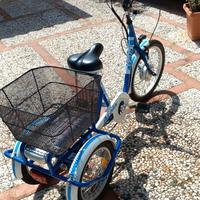 Triciclo atala cargo
