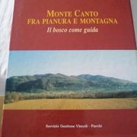 Monte Canto -fra Pianura e Montagna