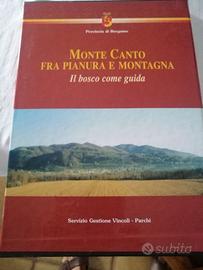 Monte Canto -fra Pianura e Montagna