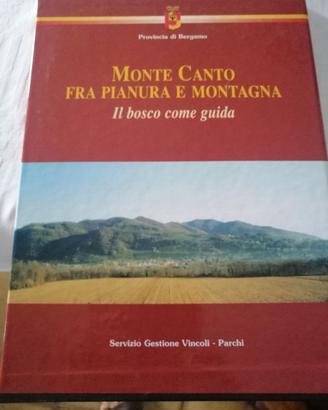 Monte Canto -fra Pianura e Montagna