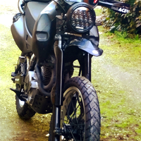 Special su base Honda dominator