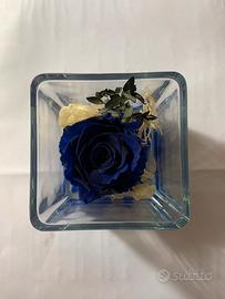 Rosa blu stabilizzata