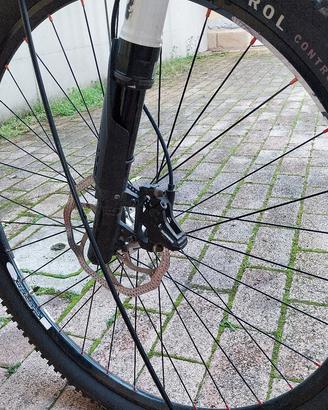 mtb cannondale carbonio 