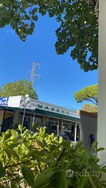 Staff ristorante pizzeria bar