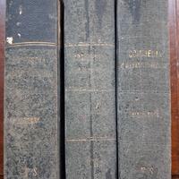 Divina Commedia - commento di Nicolò Tommaseo 