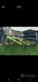bicicletta