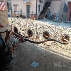 Voltafieno - Raggio di sole