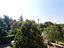 Immagine 29