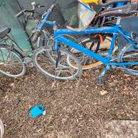 Bicicletta Blu