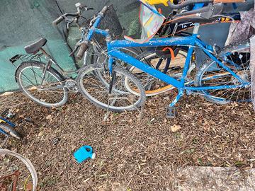 Bicicletta Blu