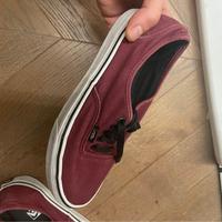 Vans basse Bordeaux