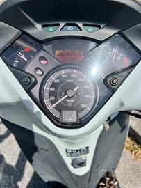 Sh 300 Sport bianco perla