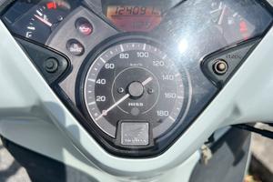 Sh 300 Sport bianco perla