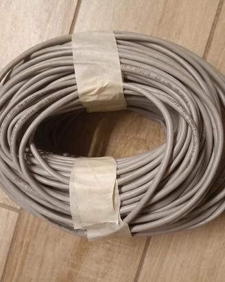 Cavo ethernet dati rj45