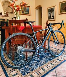 Canyon Endurace