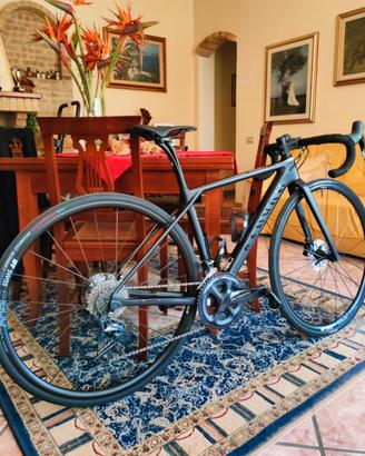 Canyon Endurace