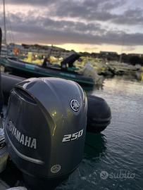 Motore fuoribordo yamaha 2019