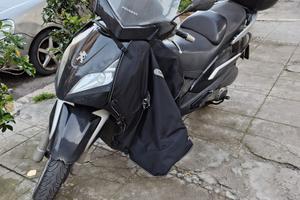 Peugeot geopolis 300