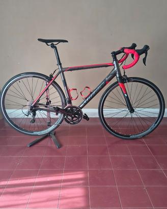 Wilier