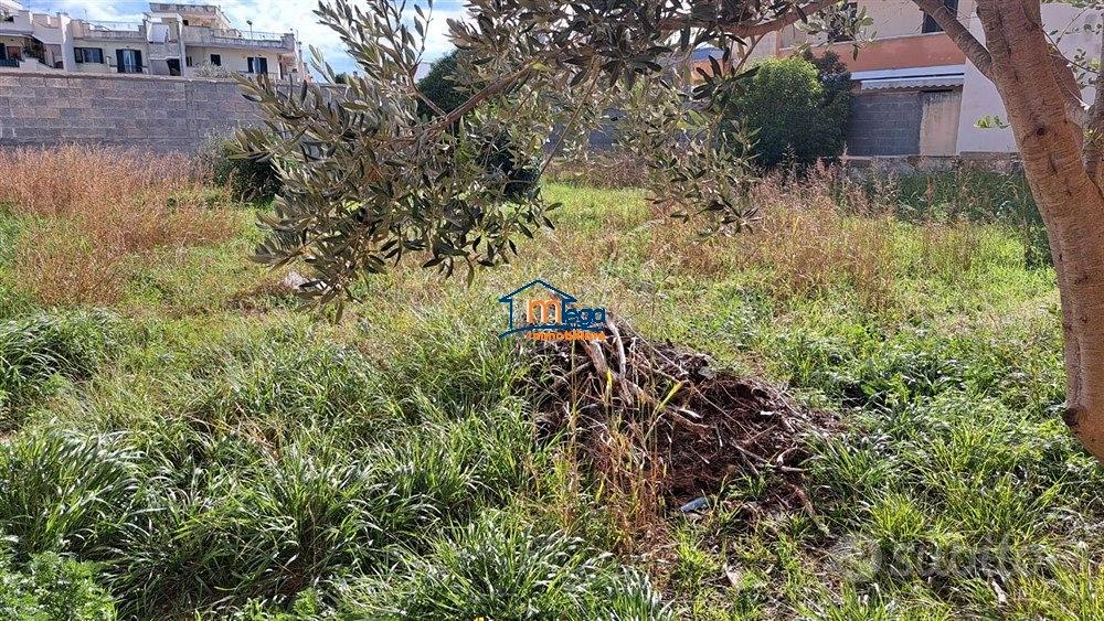 Terreno edificatorio con progetto per una Villetta - Altro