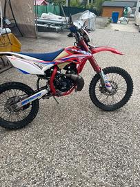 beta rr 50 elaborato